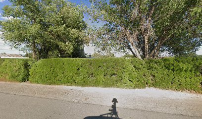 Black Jacks Auto Recycling LLC — yonke en Delta